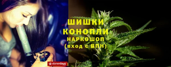 крисы Белоозёрский