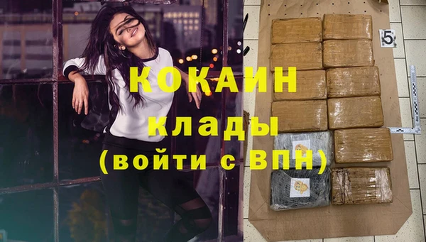 крисы Белокуриха